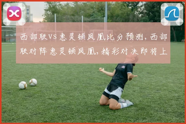 西部联vs惠灵顿凤凰比分预测,西部联对阵惠灵顿凤凰,精彩对决即将上演,悬念重重