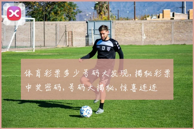 体育彩票多少号码大发现,揭秘彩票中奖密码,号码大揭秘,惊喜连连
